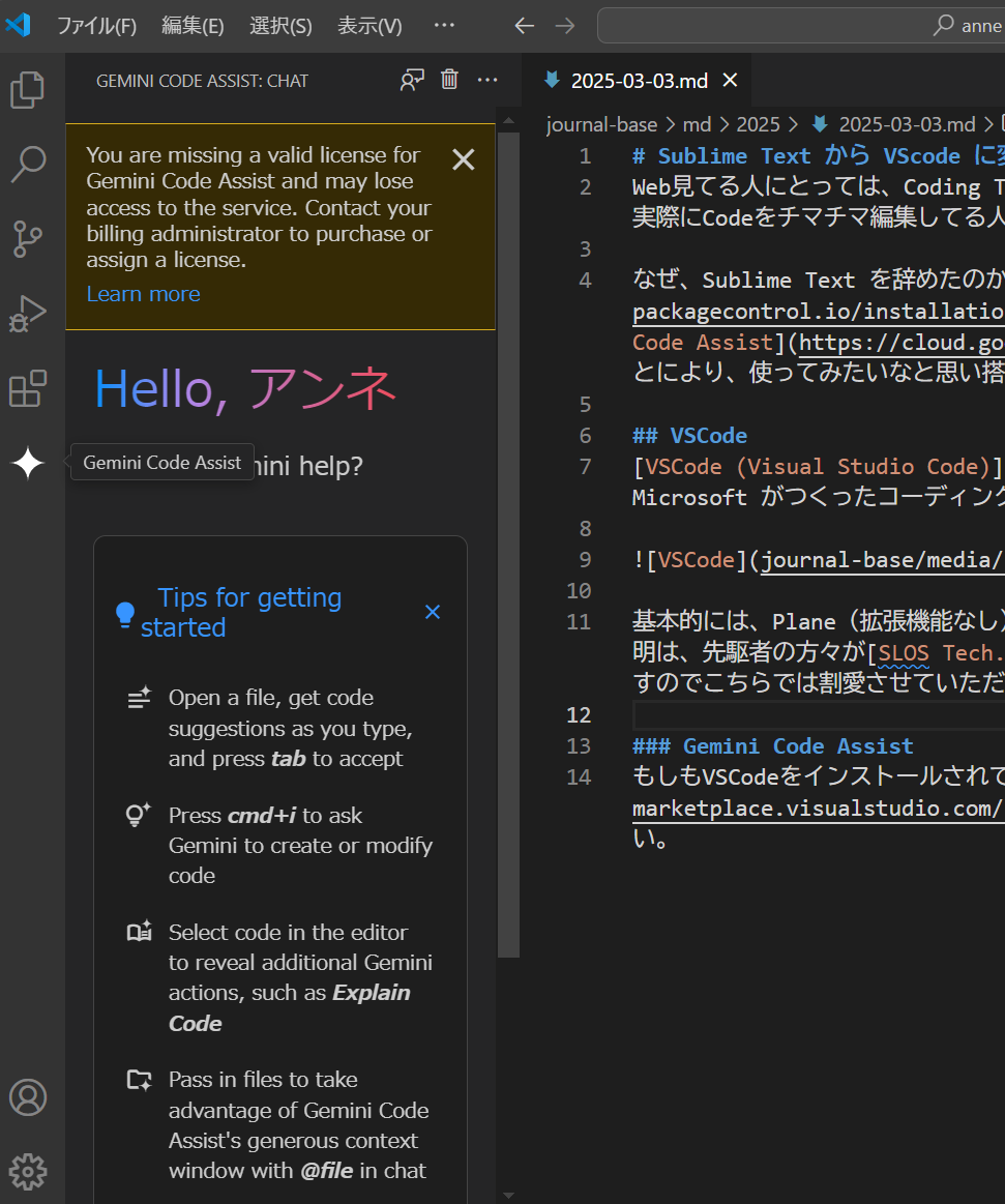 VSCode Gemini Assist