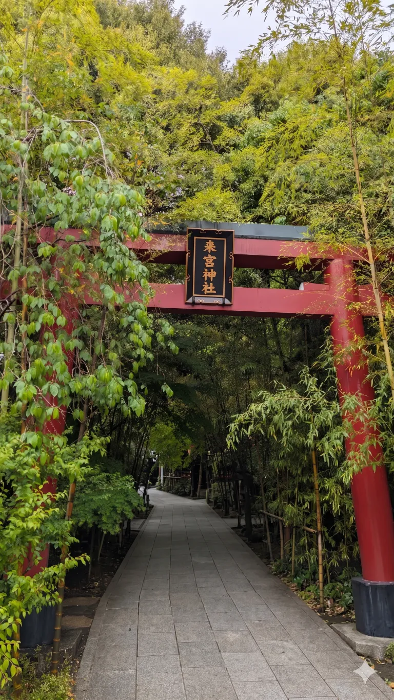 来宮神社へのお参りと、2000 年超えの大楠から神聖なエネルギーをもらう